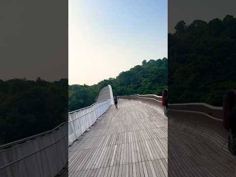 清晨的花柏山，Mount Faber in the morning