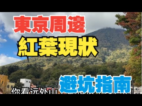 東京周邊紅葉季，千萬別在節假日來！萬一來了也有避免堵車的小撇步！酒店的性價比驚掉下巴！