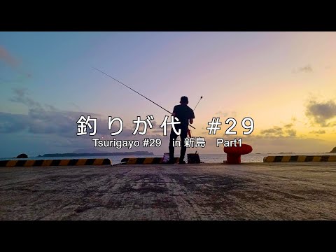 #29 新島での夜釣りで離島ドリームが！｜in 新島 part１｜4K動画