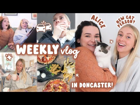 A WEEK OF CHAOS... learning to love cats & a car accident 😬 WEEKLY VLOG