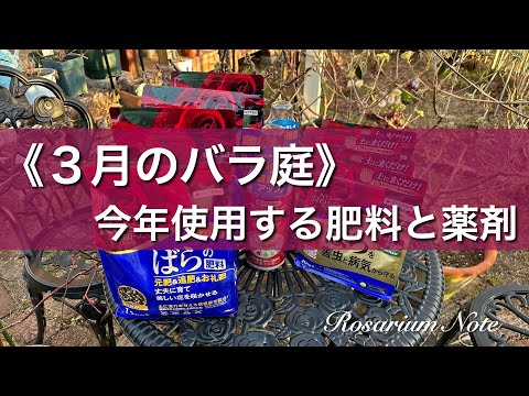 《３月のバラ庭》今年使用する肥料と薬剤