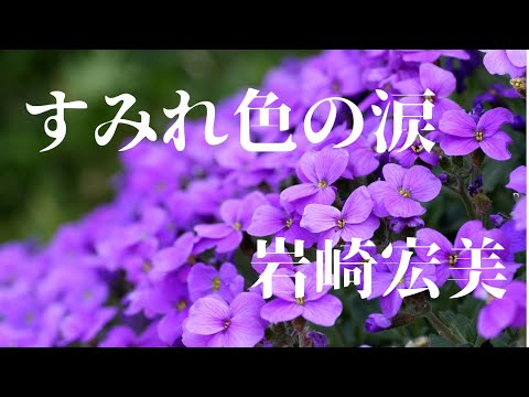 すみれ色の涙/ 岩崎宏美