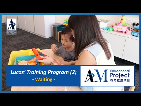 Training Program 2: Learning to Wait with Visual Aids -a Timer and a Wait Card