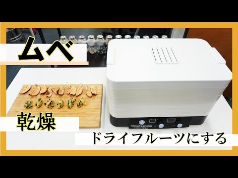 【ドラミニ】ムベ（郁子）をドライフルーツにする