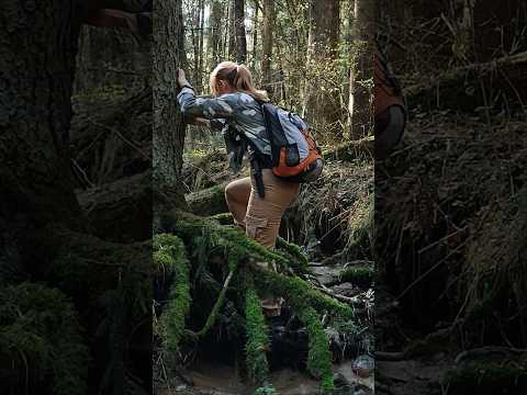 Campfire cooking in the forest #forestcamping #survival #campfirecooking #outdoorgirl #camping