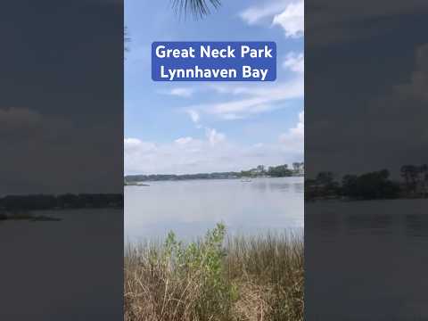 Great Neck Park Lynnhaven Bay #shorts #virginiabeach #parksandrecreation #waterfrontpark