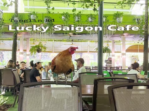 Singapore Vietnamese Food - Lucky Saigon Cafe 新加坡越南餐