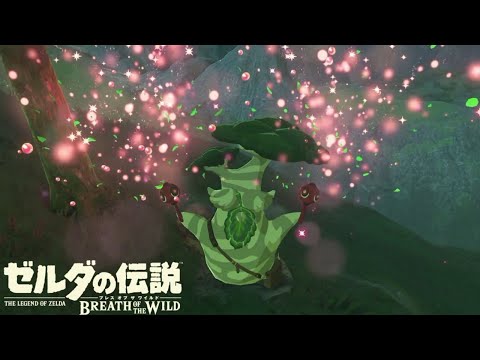 【ゼル伝探訪録】のんびり楽しむゼルダの世界【ゼルダの伝説 ブレスオブザワイルド】#5