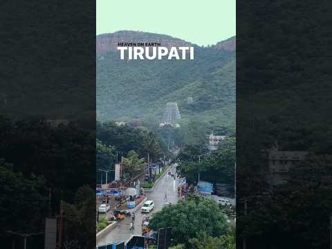 Heaven on Earth 🥹🙏 #tirupathi #tirumala #govinda #tirupatibalaji #heaven #venkateswara #shorts