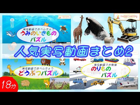 [ Japanese ] Sea animals Animals Vehicles Insects moving live-action video Puzzle medley 2 For kids