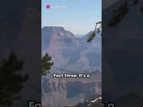 7 Grand Facts about the Grand Canyon