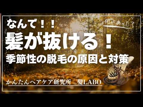 抜け毛ハイシーズン！一日300本以上抜ける！？