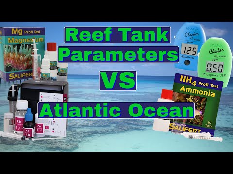 Testing The Atlantic Ocean (Reef Aquarium Test Kits) Does It's Saltwater Parameters Measure Up