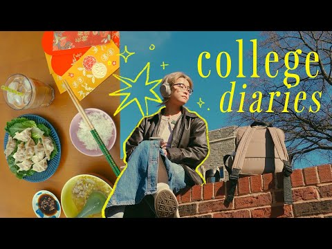 college diaries ⊹₊ ⋆ study with me, meal prep, video games, & lunar new year