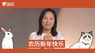 来自SBS的农历新年祝福 祝福玉兔迎春添新象 | SBS中文