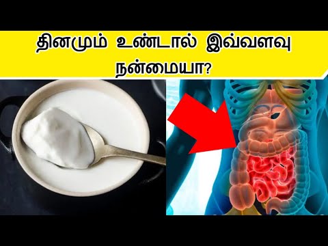 தயிர் சாப்பிட்டால் இவ்வளவு நன்மையா?/Curd health benefits in tamil/Amazing benefits of curd in tamil