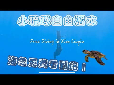 【潛水Vlog】小琉球自由潛水課程 | 與海龜共泳的兩天自潛體驗 | 油喬治