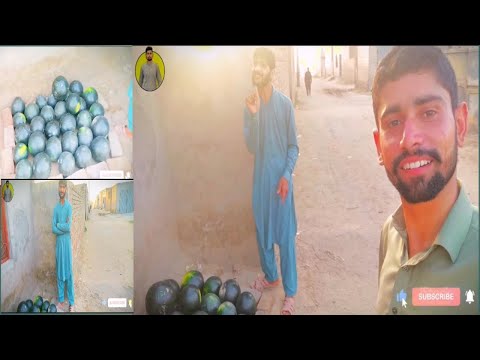 Rabnawaz Tarbooz Le Aya 🍉😂 \\ tarbooz lene ka tarika 🤭 \ Village food secrets 🍉🍕 ¦ food velog 😂