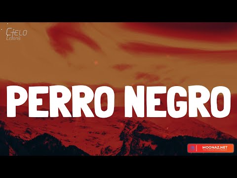 Bad Bunny - PERRO NEGRO (Lyrics/Letra)