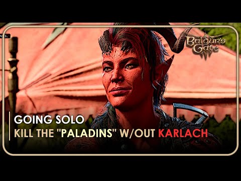 Karlach Reacts To Taking Care Of The Paladins Alone | Baldur's Gate 3