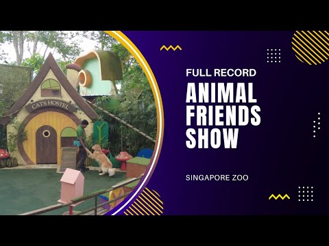 动物之友狗与猫表演 Animal Friends Show 4K record  | 新加坡动物园  | Ahmiao Tv