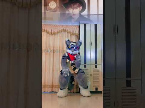 #Furry can #feelthepop you know~ Maybe I'm the first #fursuitdancer #dance #zb1 song?