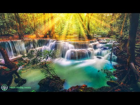 CHILL Morning Music 🌞 Euphoric Relaxing Mediation Music 528hz