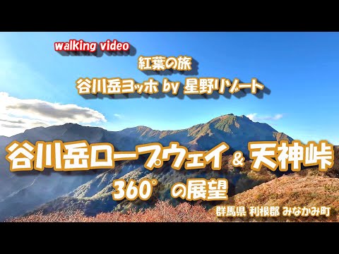 紅葉の旅 谷川岳ロープウェイと天神峠展望台 4K【お散歩シリーズ】谷川岳ヨッホ by 星野リゾート 群馬県 利根郡 みなかみ町  24年10月21日