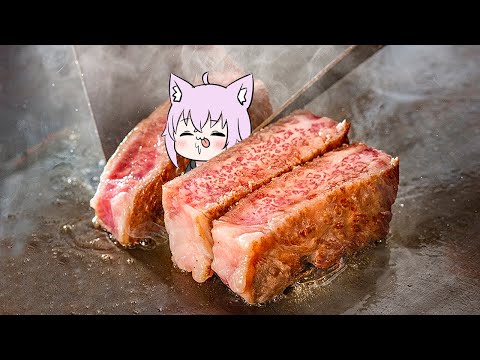 ステーキを焼く猫です🥩