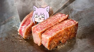 ステーキを焼く猫です🥩