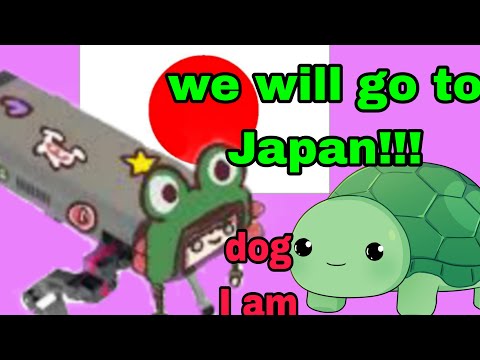 THE FUTURE OF NEURO DOG IN JAPAN........??!!!!!!