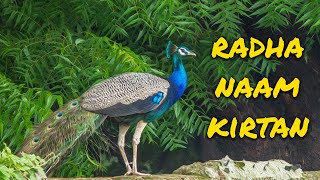 #5 राधा नाम कीर्तन | Radha Naam Kirtan | Shri Hit Radha Kripa LOFI