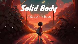 Solid Body(Slowed+Reverb) | Hariyanvi LoFi | Sapna Chaudhary