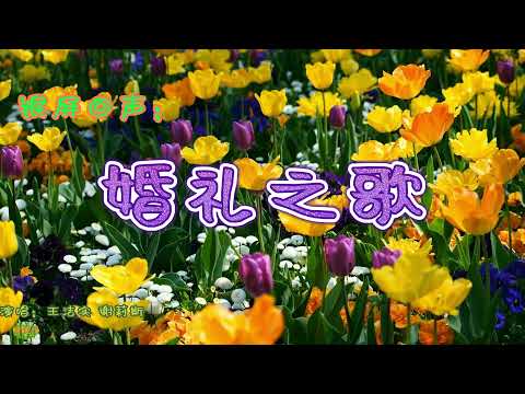 婚礼之歌 - 银屏回声。电影《阿娜尔罕》插曲，演唱：王洁实 谢莉斯