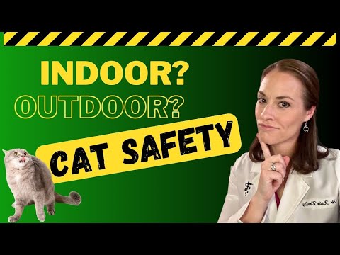 Should You Have an Indoor or Outdoor Cat? | Holistic Vet & Cat Experts Discussion