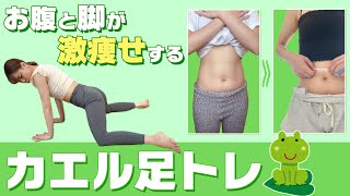 【Frog legs make you lose weight]】Frog legs make your stomach and legs thinner