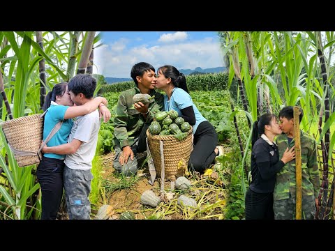 TIMELAPSE: Harvesting Happiness One Crop at a Time in Linh's Life