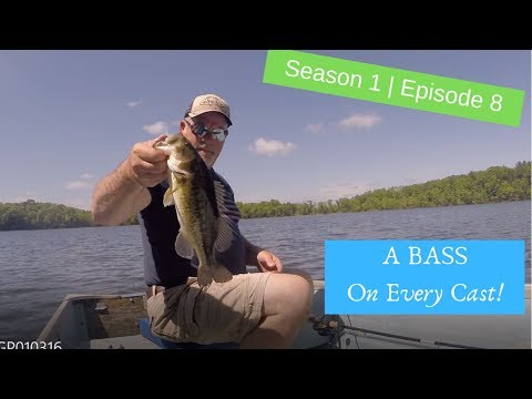 S1 E8 | A bass on every cast? Darn near!