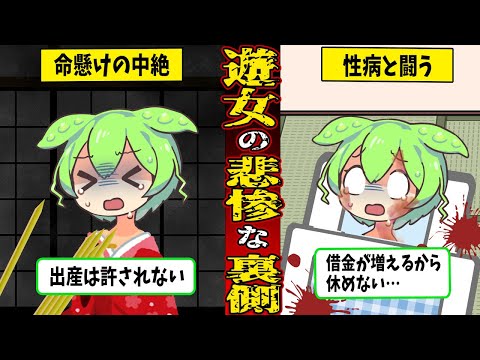 【閲覧注意】遊女の悲惨すぎる真実！煌びやかの裏側の世界がヤバすぎる【江戸時代歴史解説】