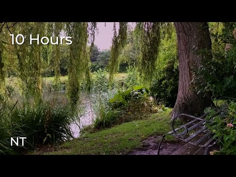 Rainy Day Stream Sounds for Sleep & Relaxation | Falling Rain & Flowing Water Sounds: White Noise