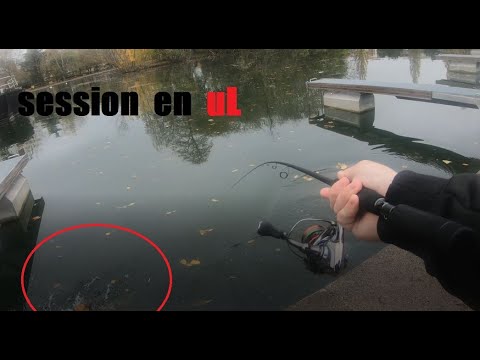 Une petite session carna en ultra-leger en canal