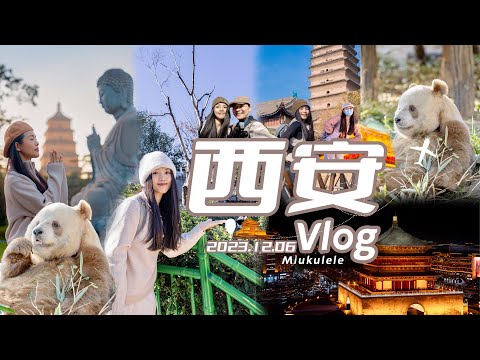 旅行Vlog🐼｜我終於去秦嶺看我的金色寶寶啦！ | 七仔 | 西安 | 熊貓 | panda |