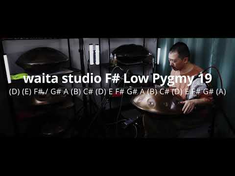 waita studio F# Low Pygmy 19 20240825