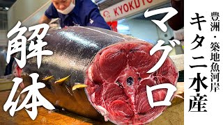 築地魚河岸で100kg級のマグロ解体、豊洲市場仲卸キタニ水産の技を大公開｜Toyosu & Tsukiji fish market  | Giant  Tuna dismantling