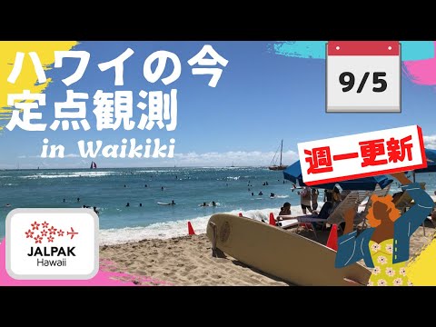 【ハワイの今】ワイキキ定点観測  2023年9月5日