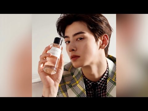 Cha Eun Woo 차은우 (Astro) X Christian Dior Ad | Vogue Korea