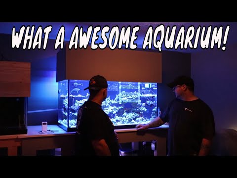 What a marine aquarium!