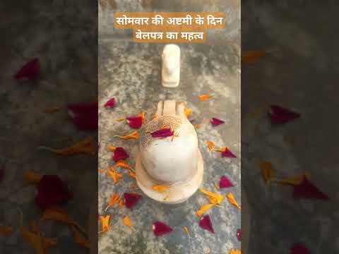 सोमवार के अष्टमी के दिन कर बेलपत्र का उपाय#shortvideo #motivation #upay