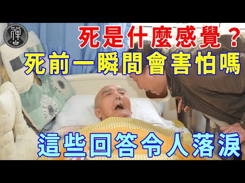 死是什麼感覺？死前一瞬間會害怕嗎？這些回答，讓人看一次哭一次|一禪