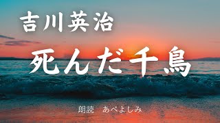 【朗読】吉川英治「 死んだ千鳥」　朗読・あべよしみ